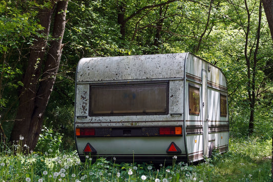 Oxidized trailer in the middle of the woods
