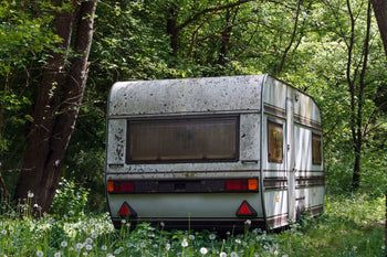 Oxidized trailer in the middle of the woods 