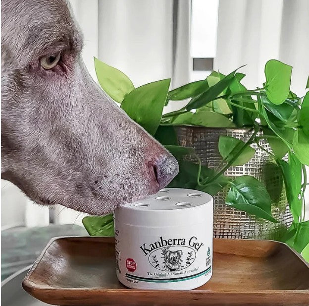 kanberra gel pet safe with dog